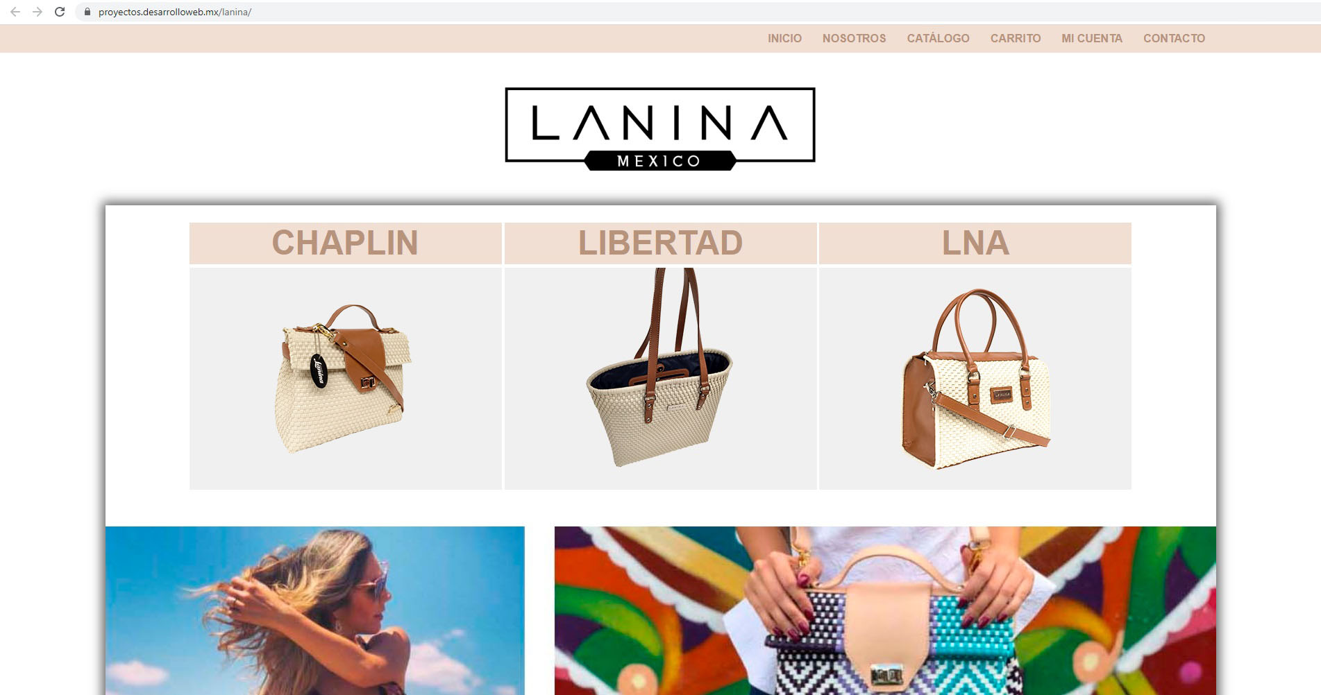 Desarrollo de Sistemas